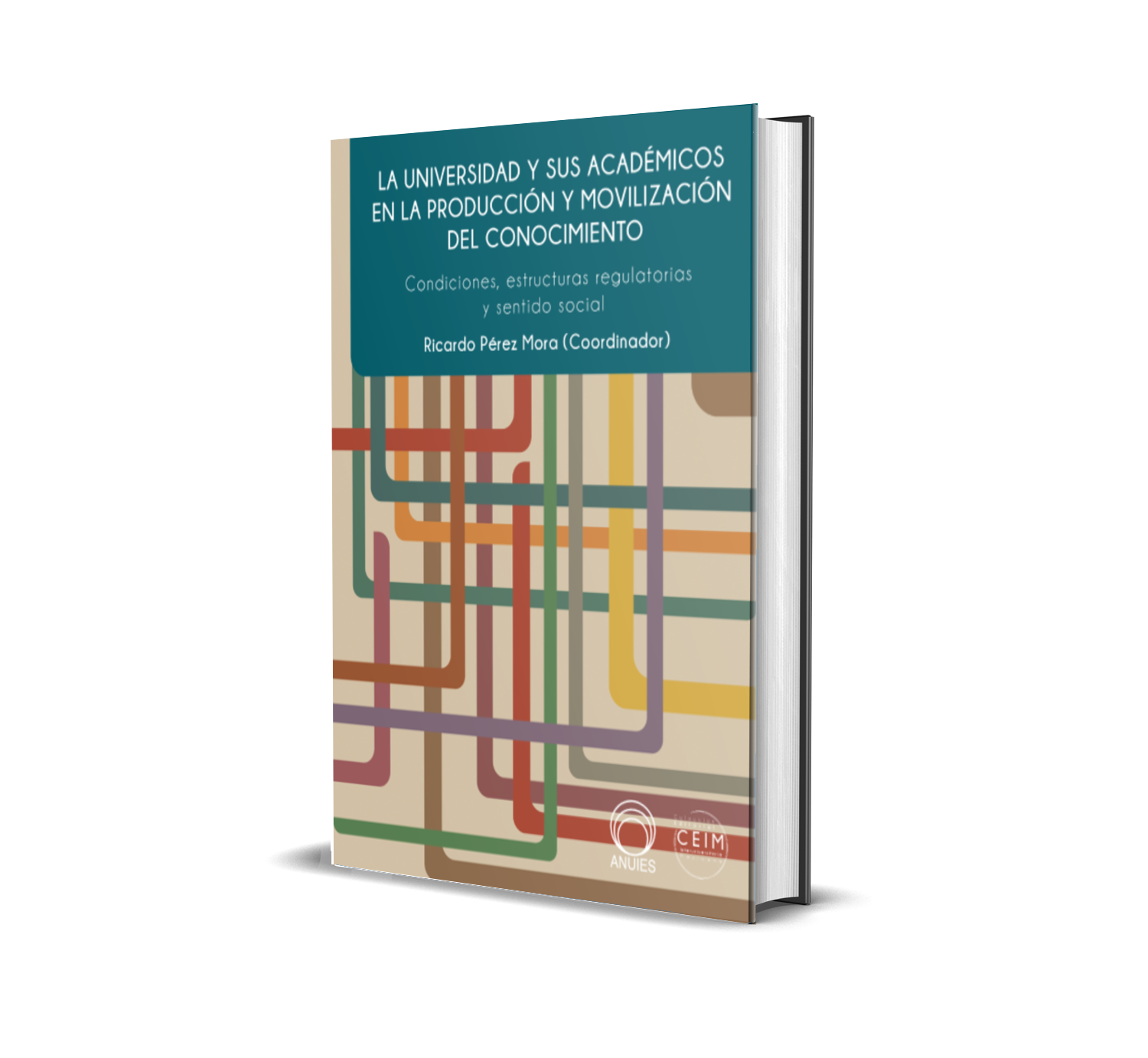 La universidad y sus académicos en la producción y movilización del conocimiento
