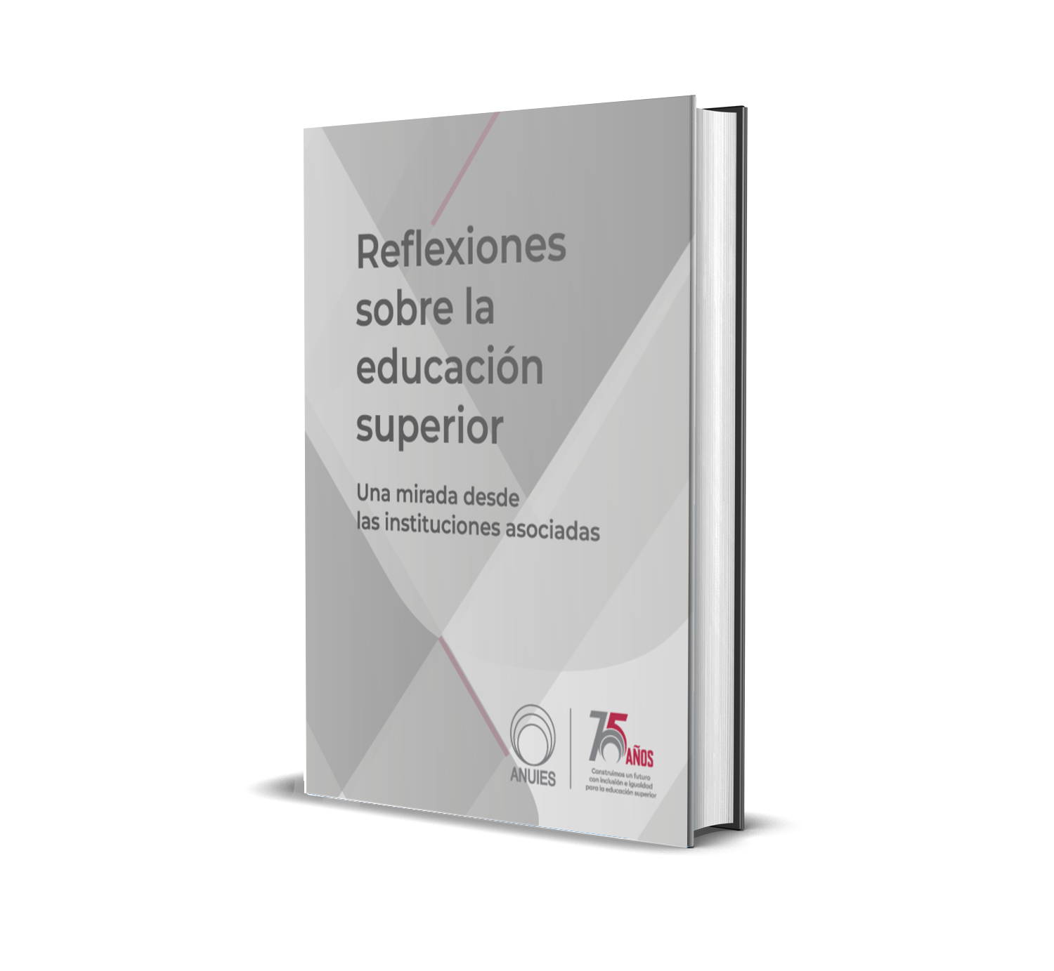 Reflexiones sobre la educación superior