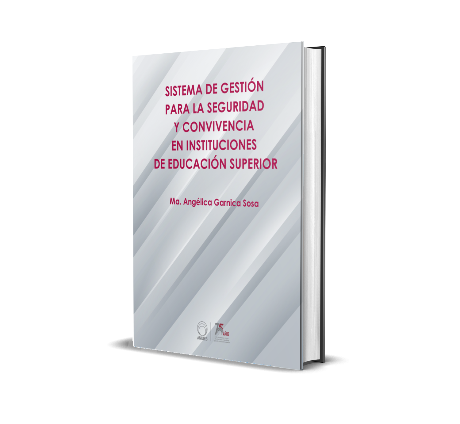 Sistema de gestión de seguridad